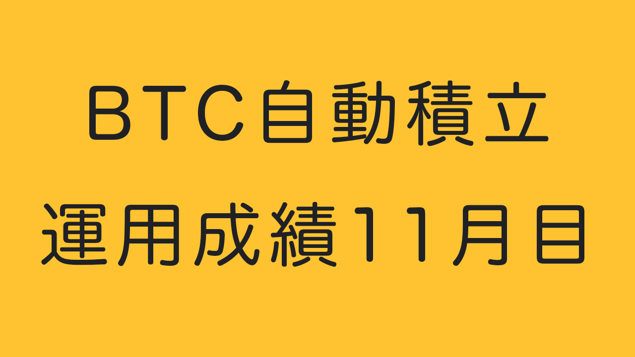 BTC自動積立11月目